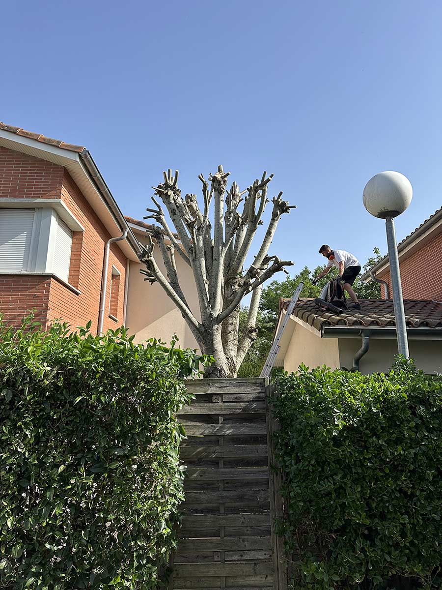 Jardinier à Toulouse
