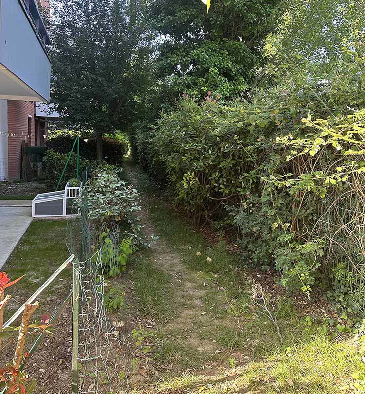Before image