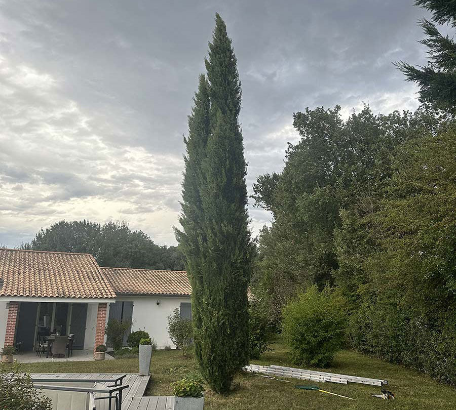 Before image
