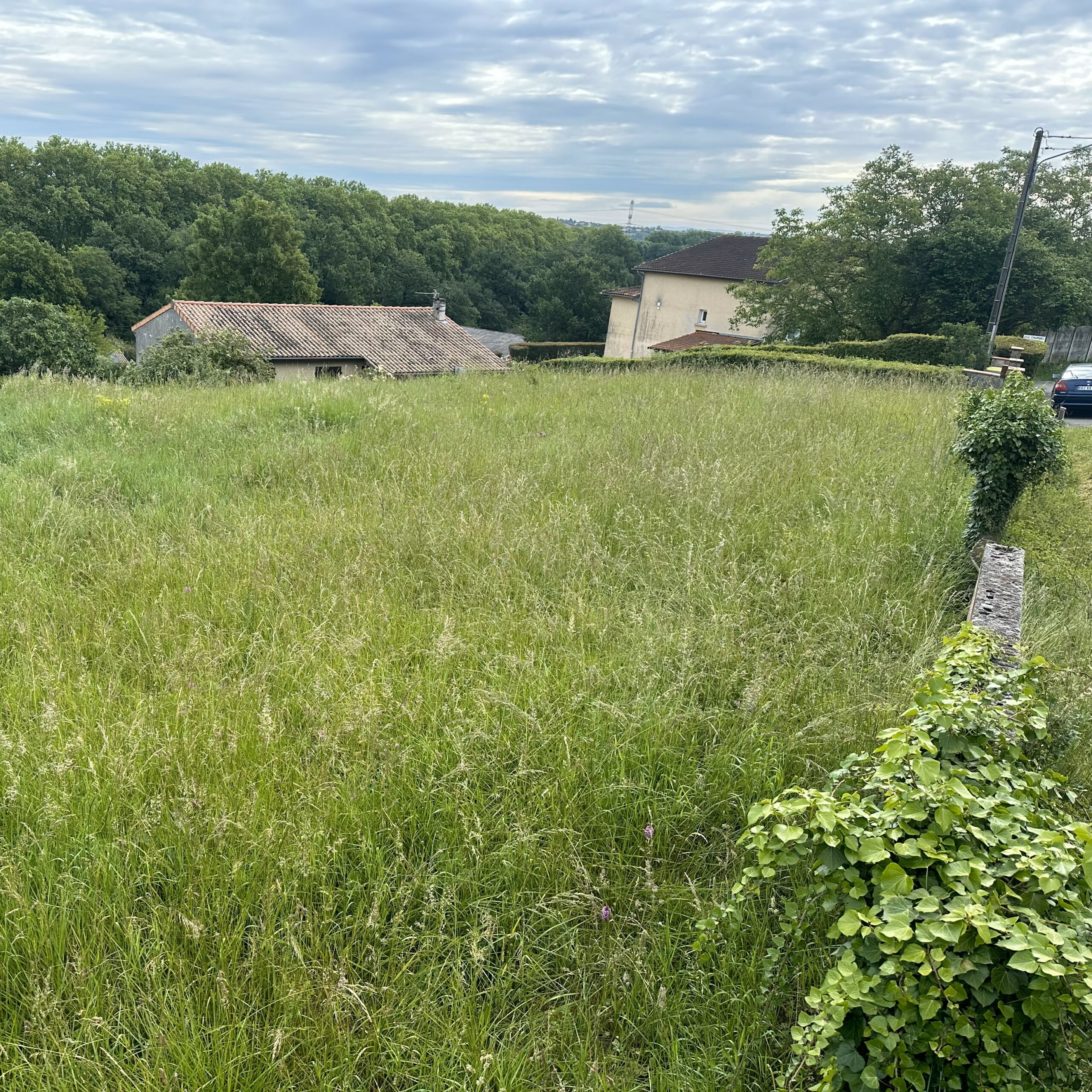 Before image