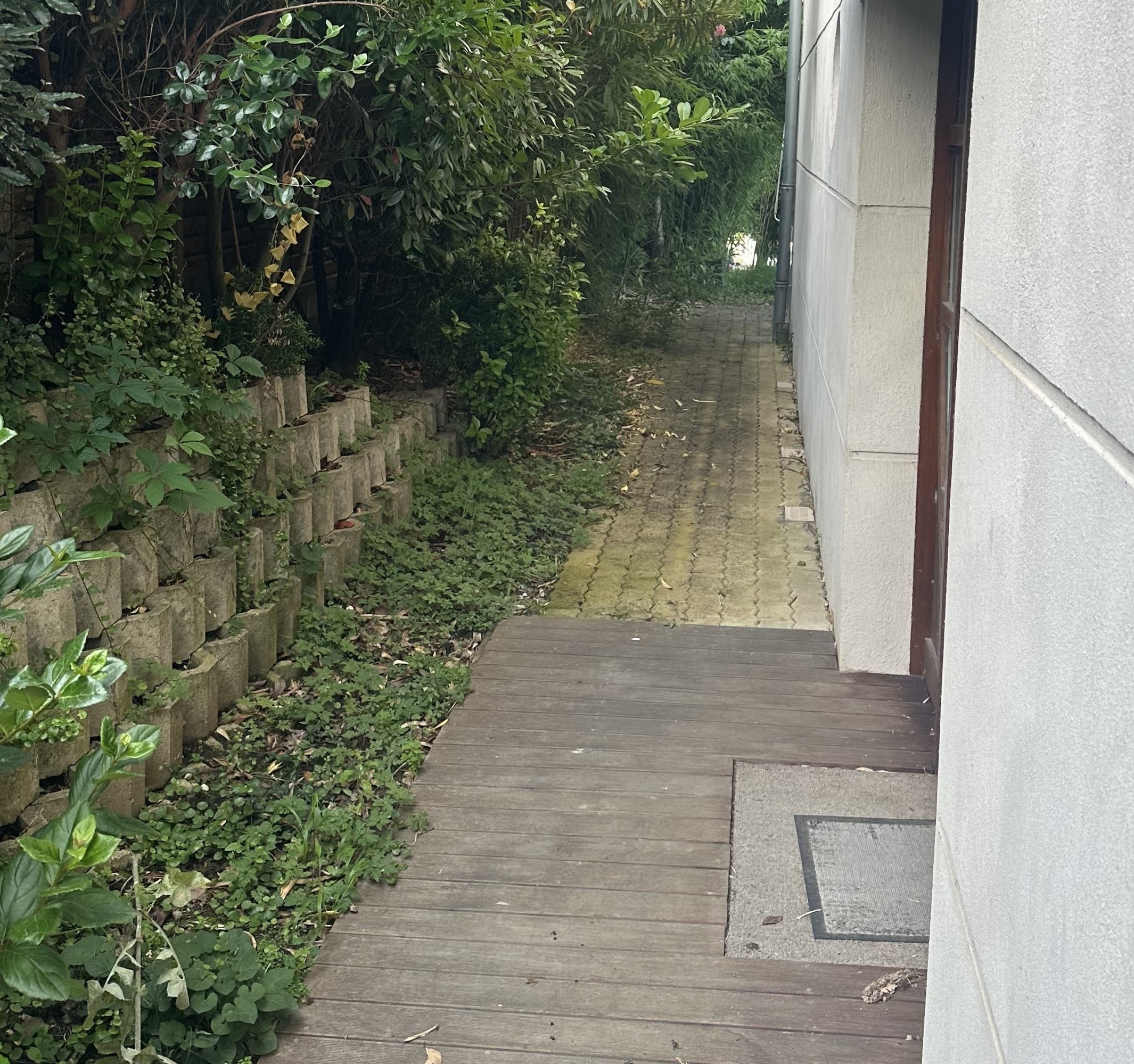 Before image