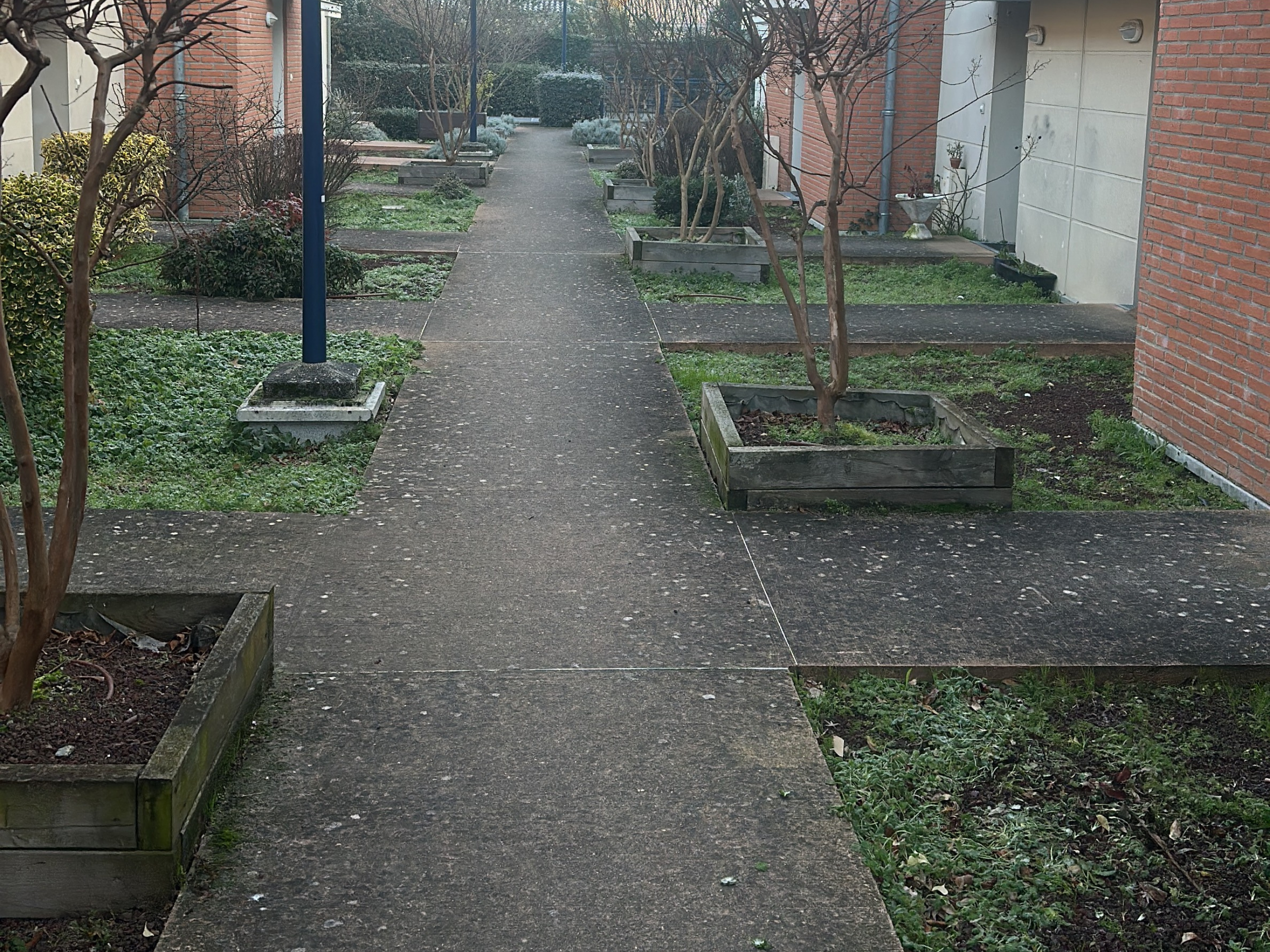 Before image