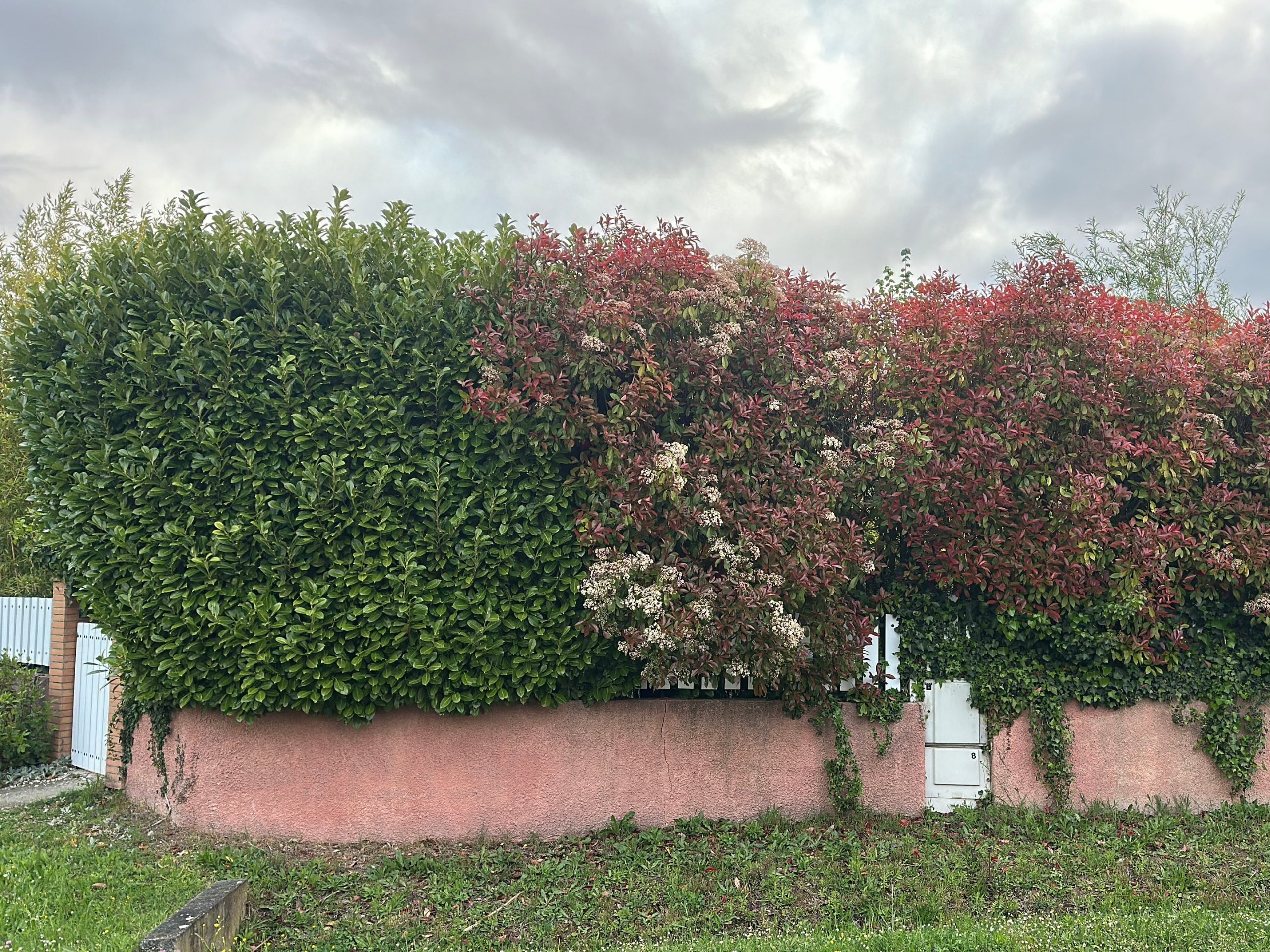 Before image