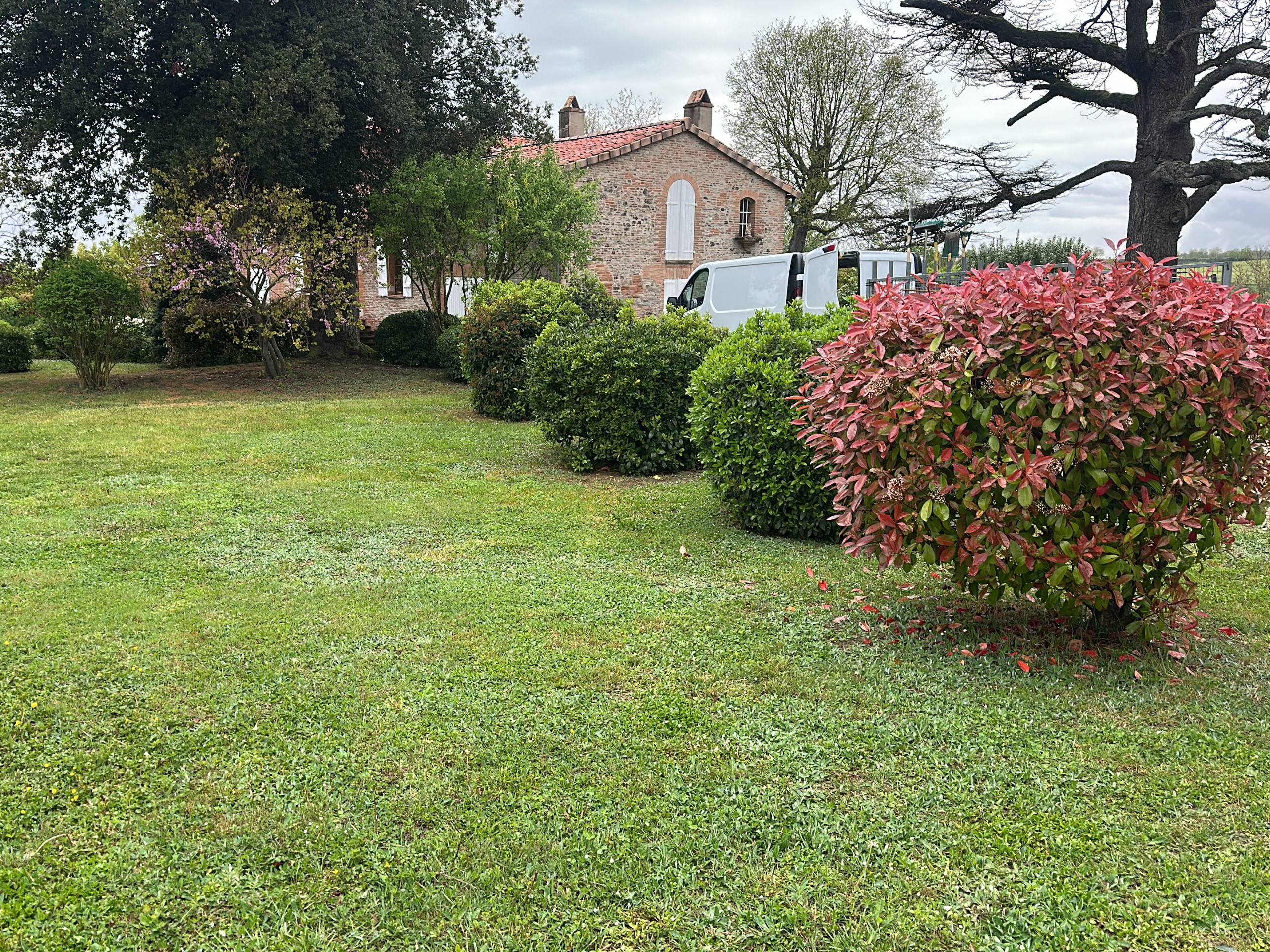 Before image