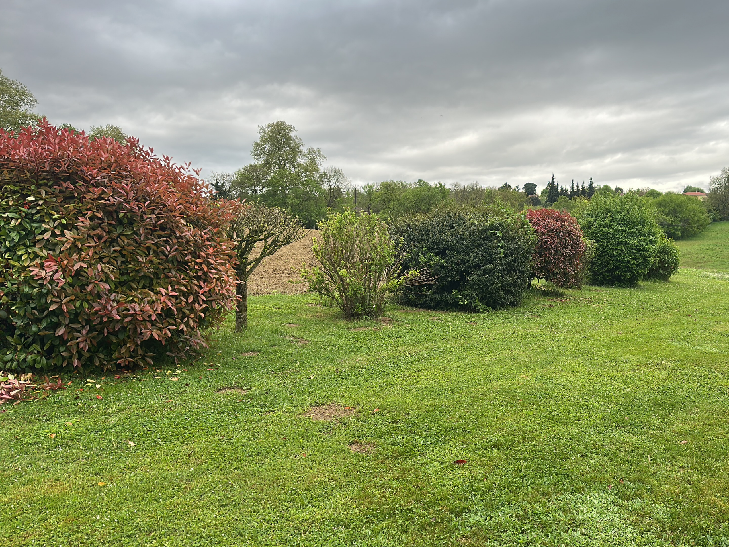Before image