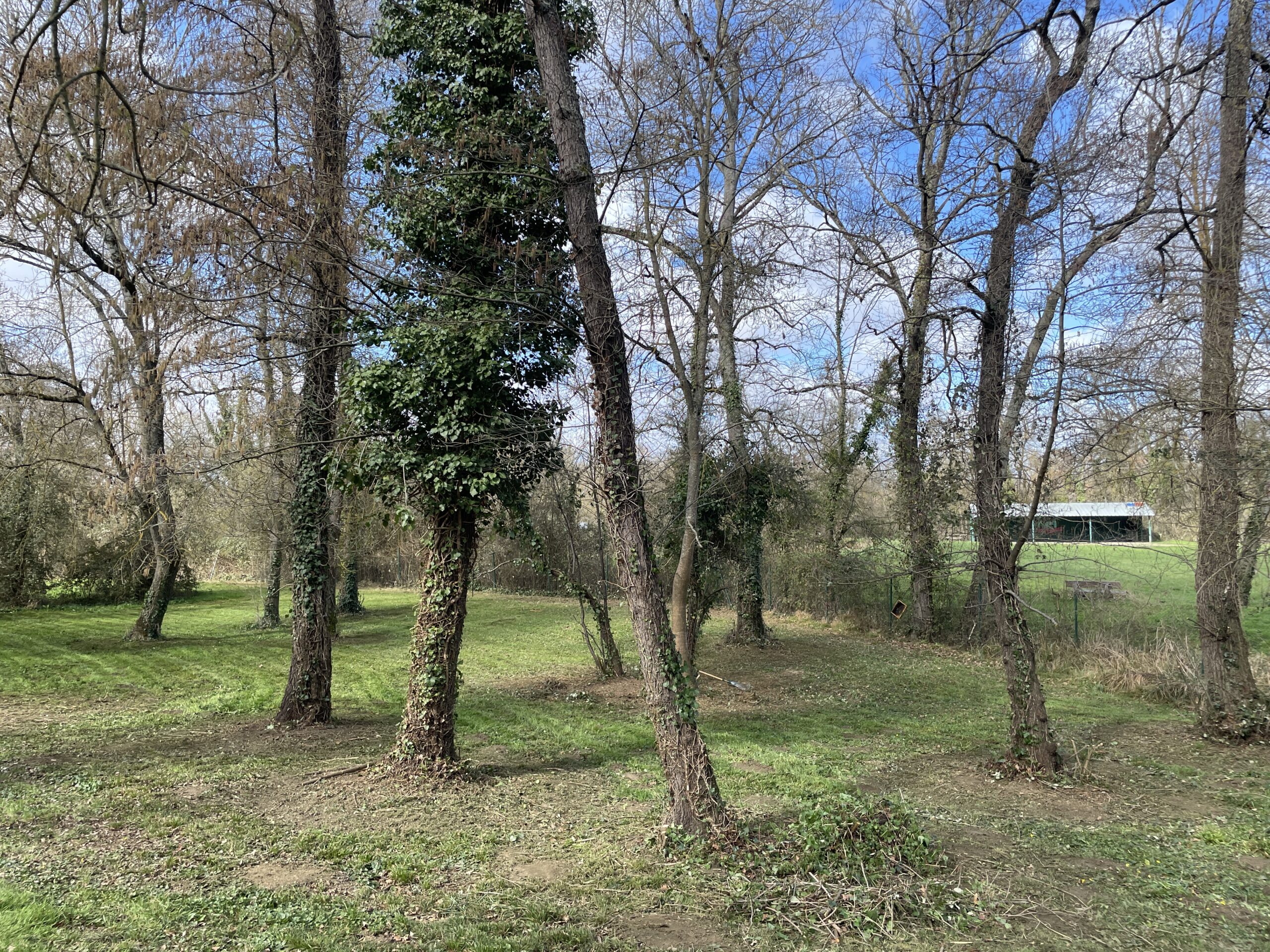 After image