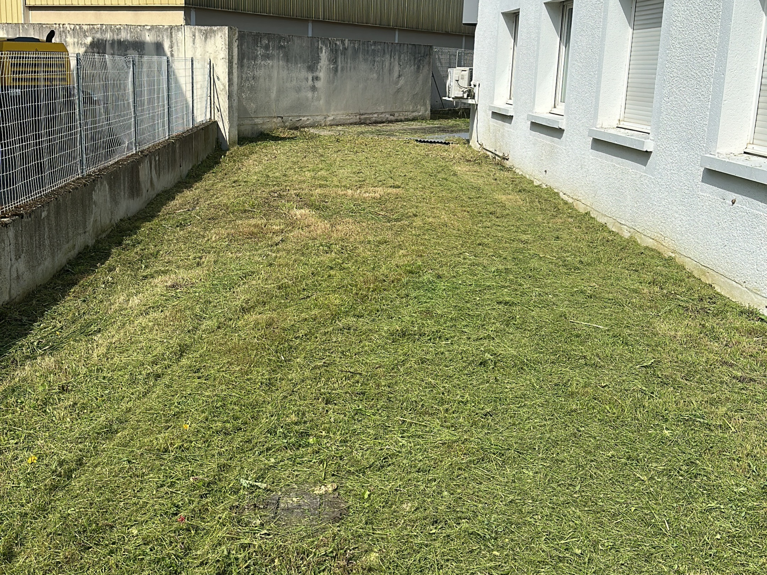 After image