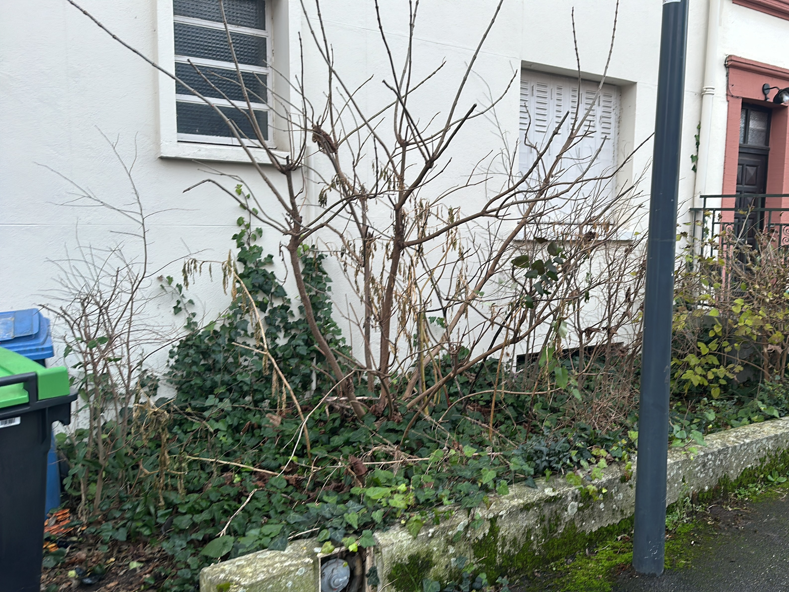 Before image