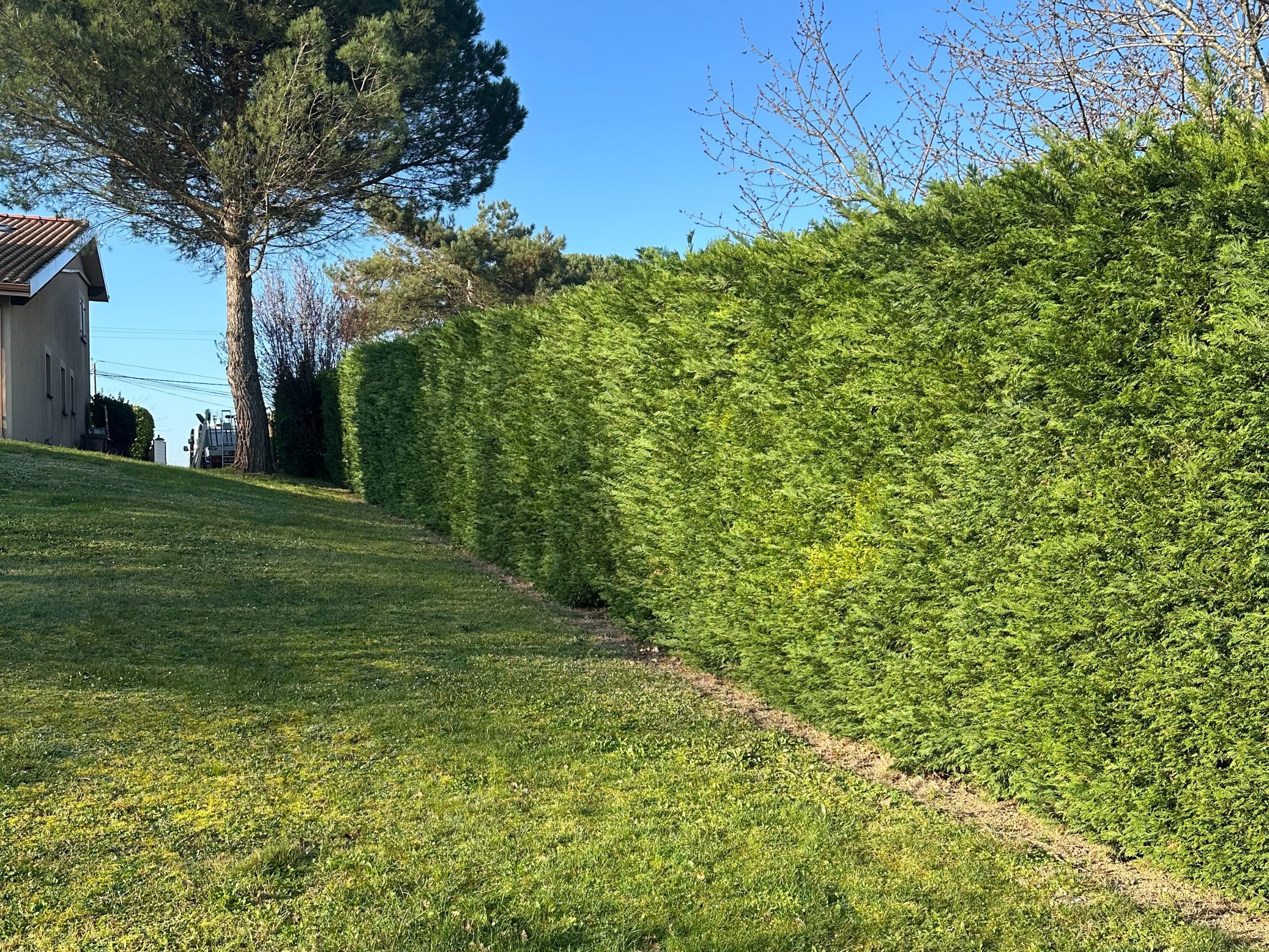 Before image